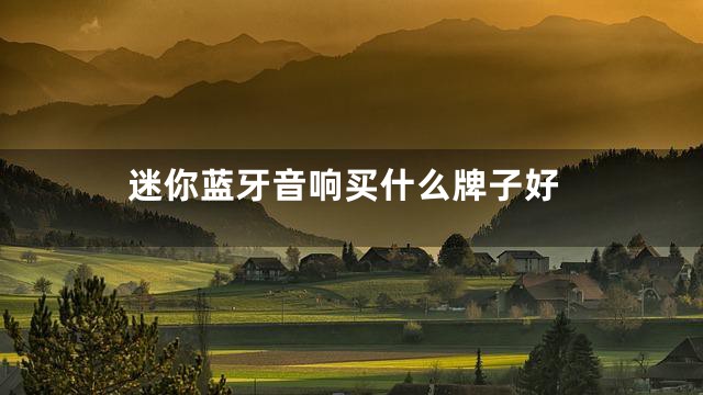 迷你蓝牙音响买什么牌子好