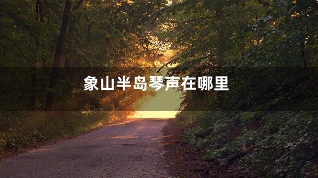 象山半岛琴声在哪里