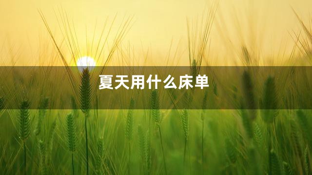 夏天用什么床单