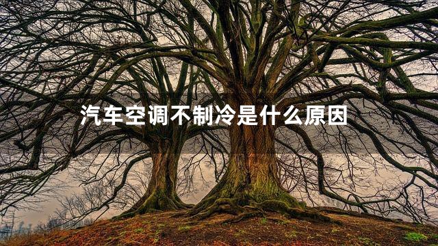 汽车空调不制冷是什么原因