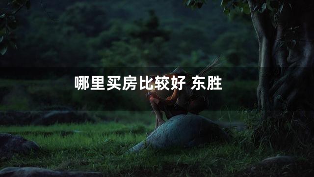 哪里买房比较好 东胜