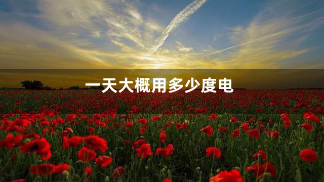一天大概用多少度电