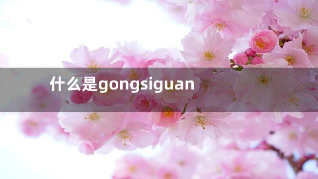 什么是gongsiguan