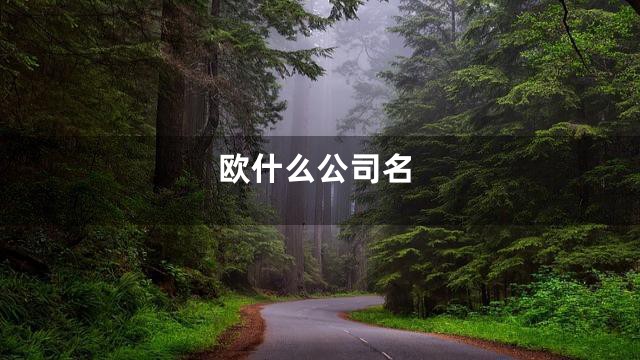 欧什么公司名