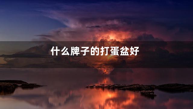 什么牌子的打蛋盆好