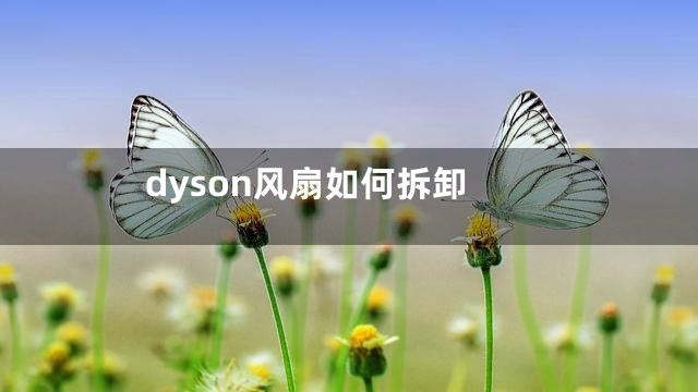 dyson风扇如何拆卸