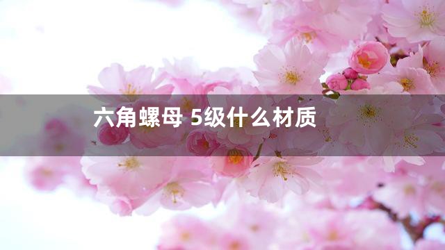 六角螺母 5级什么材质