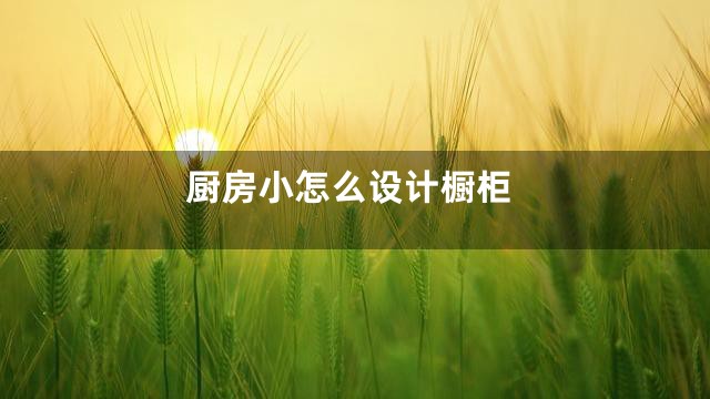 厨房小怎么设计橱柜