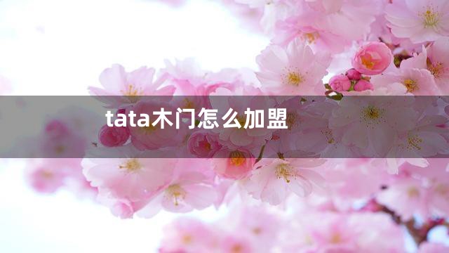 tata木门怎么加盟