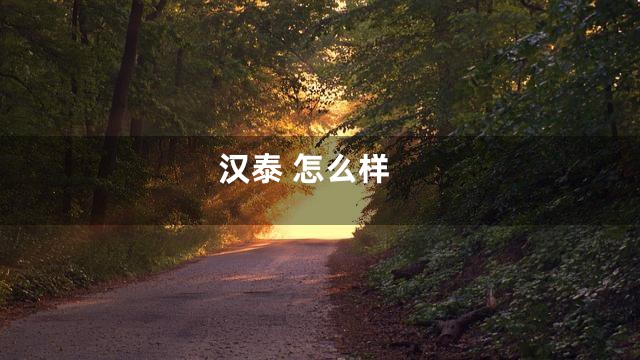 汉泰 怎么样