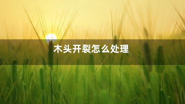 木头开裂怎么处理
