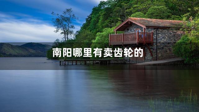 南阳哪里有卖齿轮的