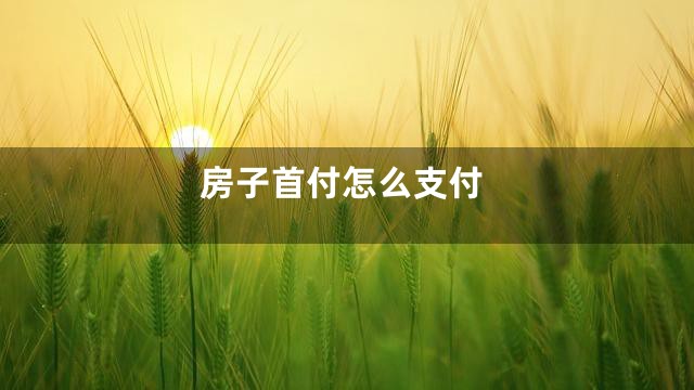 房子首付怎么支付