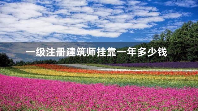 一级注册建筑师挂靠一年多少钱
