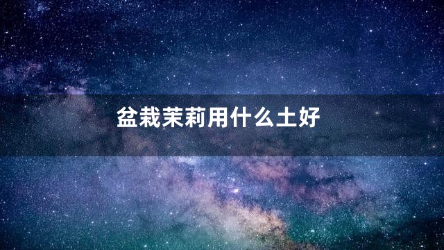 盆栽茉莉用什么土好