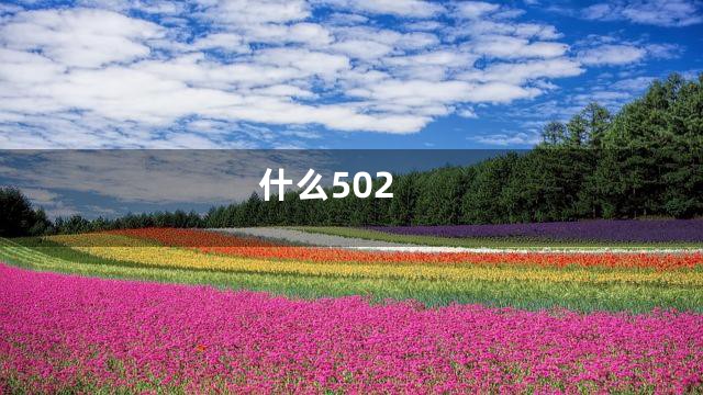什么502