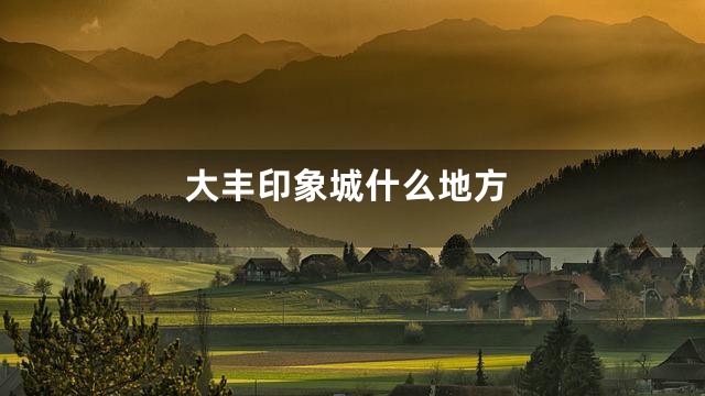 大丰印象城什么地方