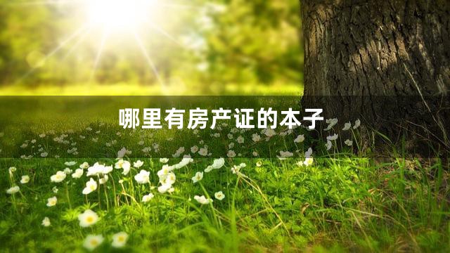 哪里有房产证的本子