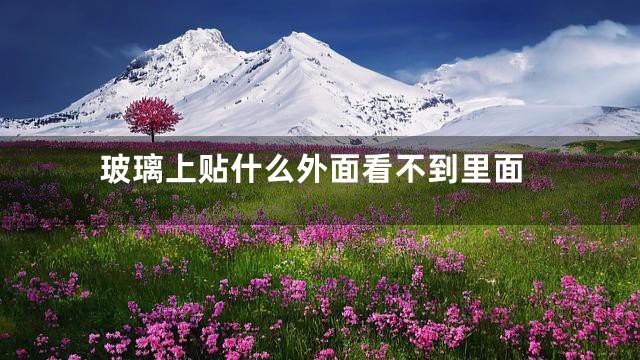 玻璃上贴什么外面看不到里面