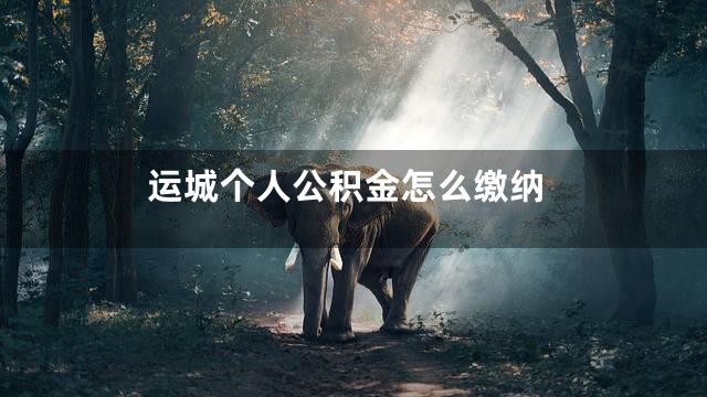 运城个人公积金怎么缴纳
