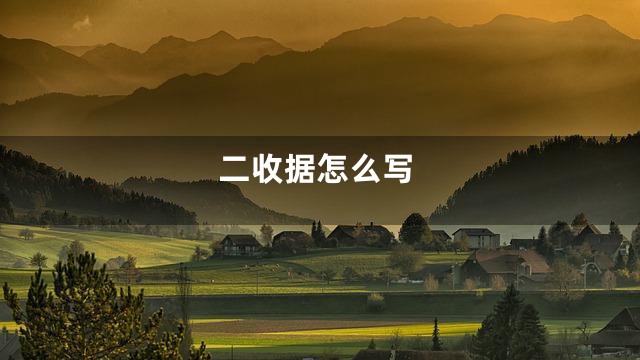 二收据怎么写