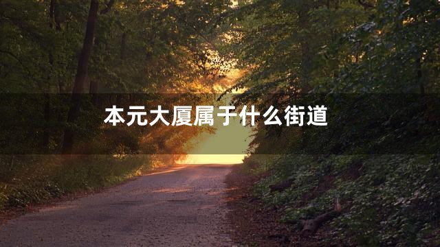 本元大厦属于什么街道