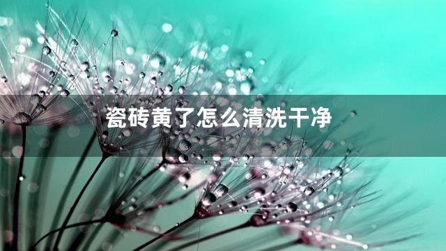 瓷砖黄了怎么清洗干净