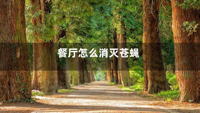 餐厅怎么消灭苍蝇