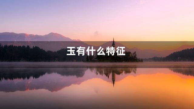 玉有什么特征