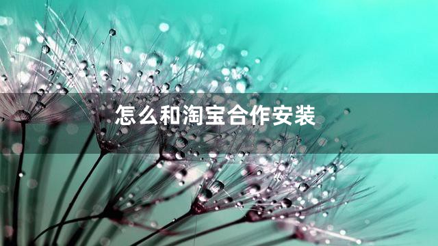 怎么和淘宝合作安装