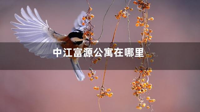 中江富源公寓在哪里