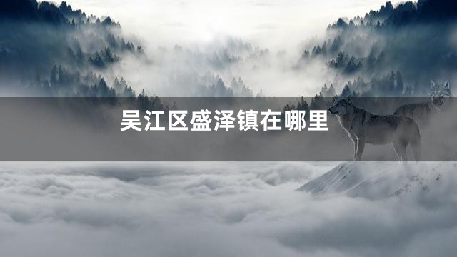 吴江区盛泽镇在哪里