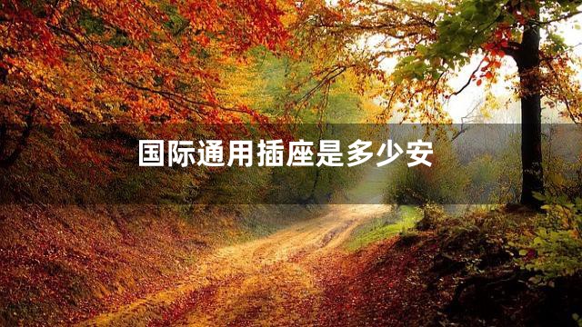 国际通用插座是多少安