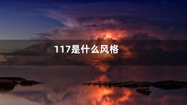 117是什么风格