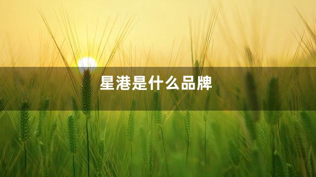 星港是什么品牌