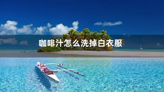 咖啡汁怎么洗掉白衣服