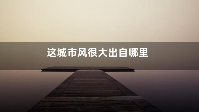 这城市风很大出自哪里