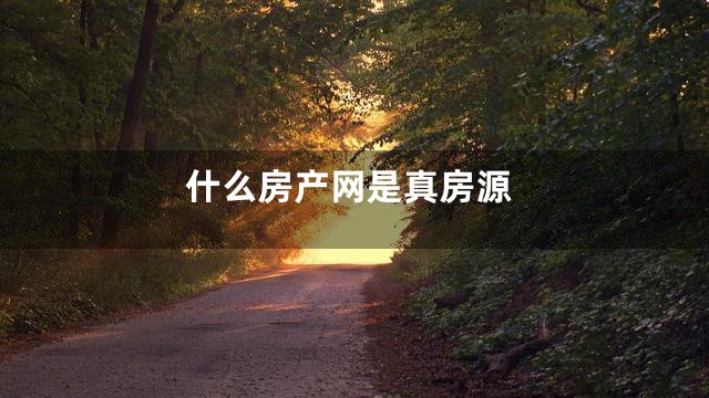 什么房产网是真房源