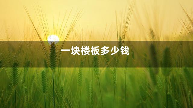 一块楼板多少钱