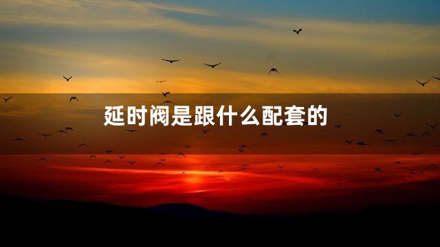 延时阀是跟什么配套的