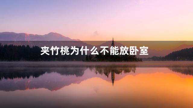 夹竹桃为什么不能放卧室