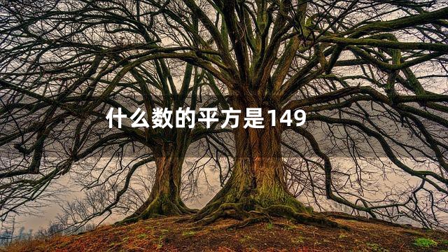 什么数的平方是149