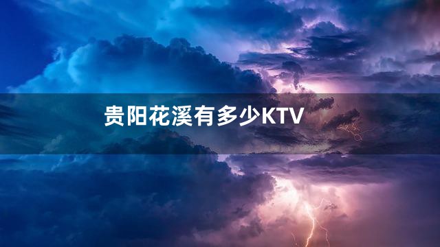 贵阳花溪有多少KTV