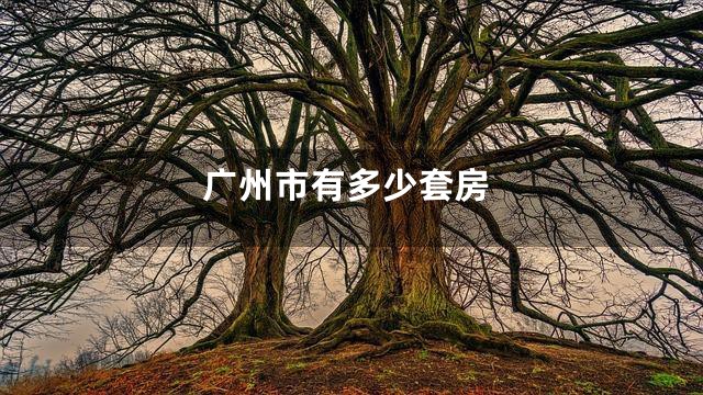 广州市有多少套房