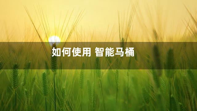 如何使用 智能马桶