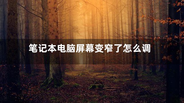 笔记本电脑屏幕变窄了怎么调