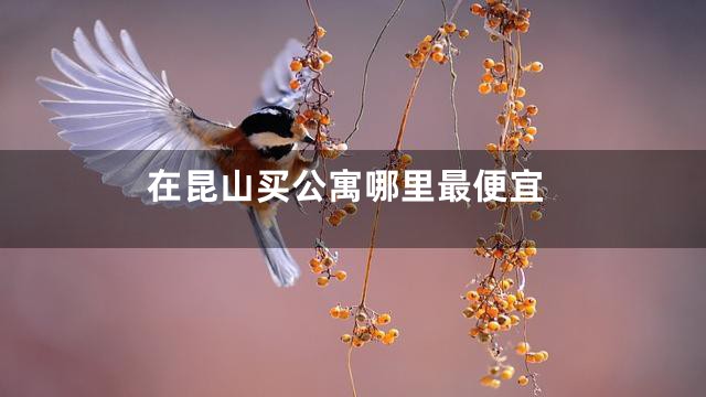 在昆山买公寓哪里最便宜