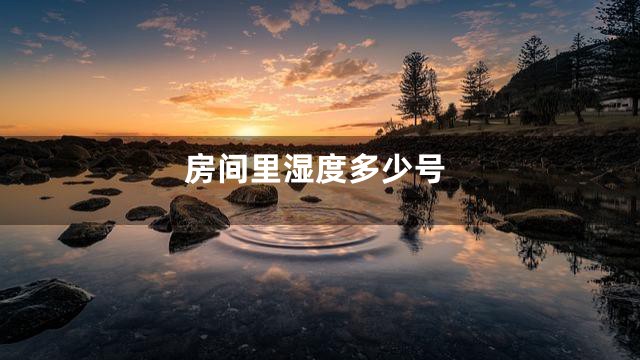 房间里湿度多少号