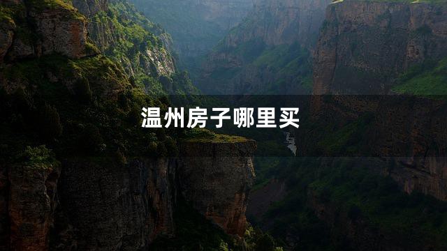 温州房子哪里买