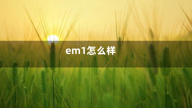 em1怎么样
